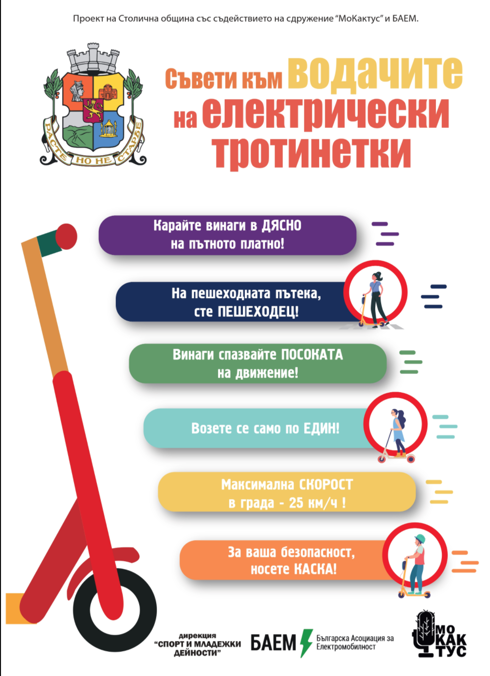 Infonetki