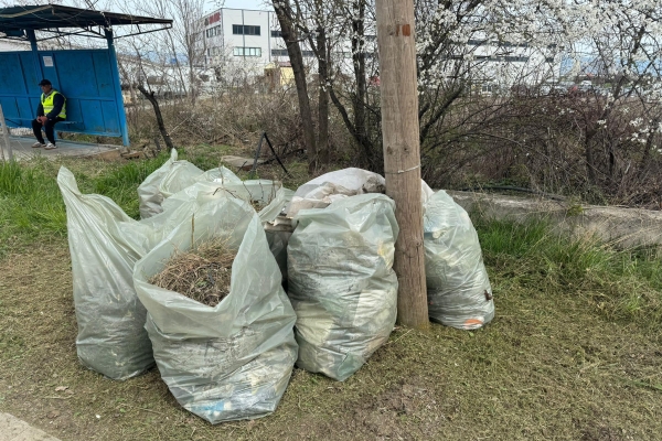 почистване-1035CC76E-369D-0E9C-D7C2-83213AAB5ACA.jpg