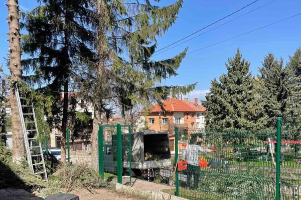 градина-лозен12ED505FED-11EB-4FAE-0CC8-DAA0F8368F1E.jpg