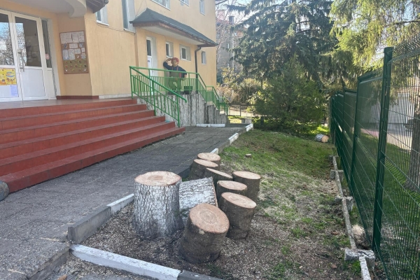 градина-лозен3241162B5-084E-942D-02EF-27B06BE274B6.jpg