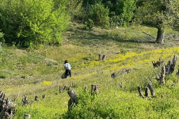 панчарево-искър11CB255A7B-BF74-C7F1-88C6-7B0C5D143F6B.jpg