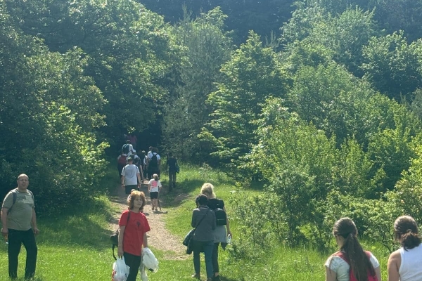 polovrak253F6781AF-81D2-9500-6599-8962DA96B5CA.jpg